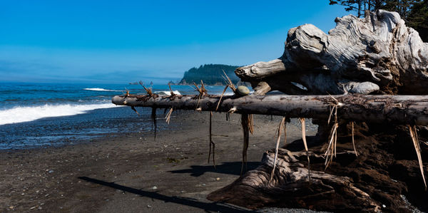 Driftwood on beach against sky