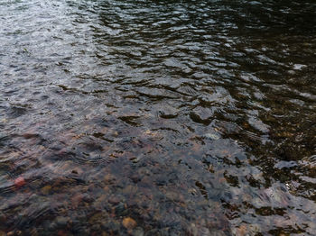 High angle view of wet beach