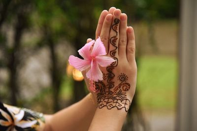 Close-up of woman hand holding pink rose