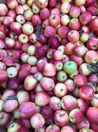 Full frame shot of apples in market