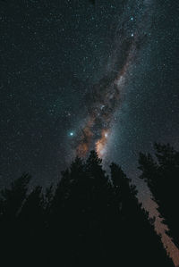 Low angle view of silhouette trees against sky at night