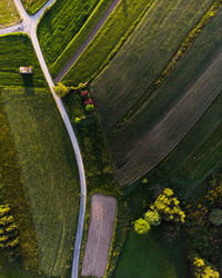 Road going across green fields