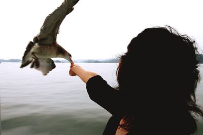 Woman feeding bird by sea