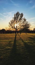 Scenic view of field against sky at sunset