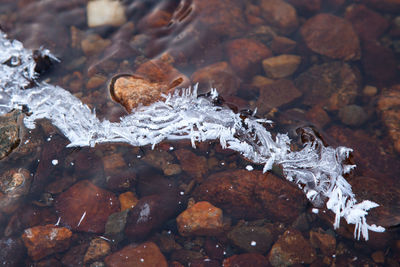 Water on rocks with ice crystal