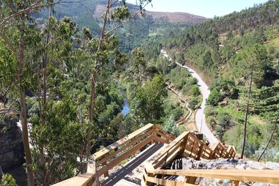 High angle view of trees on mountain