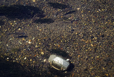 High angle view of bottles on beach