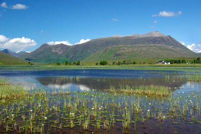 Scenic view of lake and mountains against blue sky