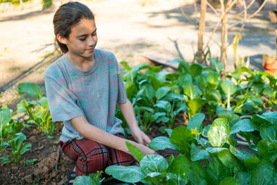 Beautiful girl. green organic vegetable cultivation. lonely nature lifestyle.