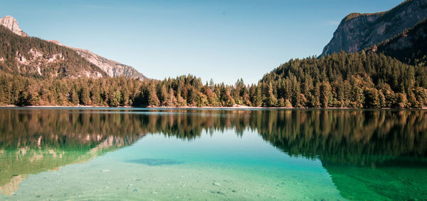 Reflection of trees in calm lake