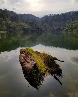 Reflection of tree in lake against sky