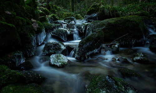 Stream flowing through rocks in forest