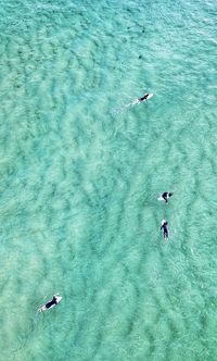 High angle view of people swimming in sea