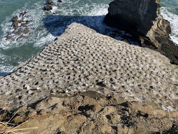 High angle view of rocks on beach