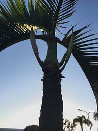 Low angle view of trees