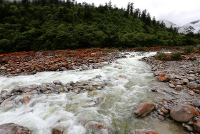 Scenic view of waterfall