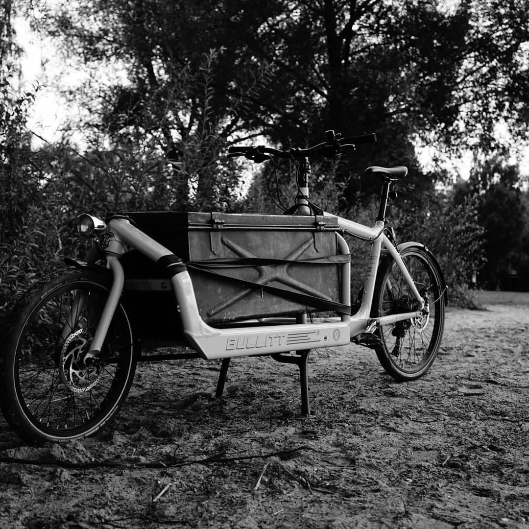 plant, black and white, tree, transportation, vehicle, monochrome photography, mode of transportation, monochrome, nature, land vehicle, day, bicycle, black, no people, absence, land, field, wheel, growth, outdoors, park, grass, seat, white, park - man made space