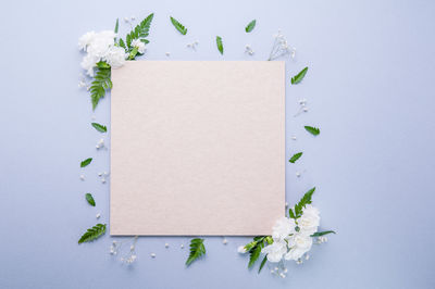 Directly above shot of potted plant on white table