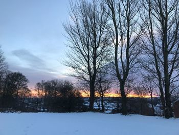 Bare trees on snow covered landscape