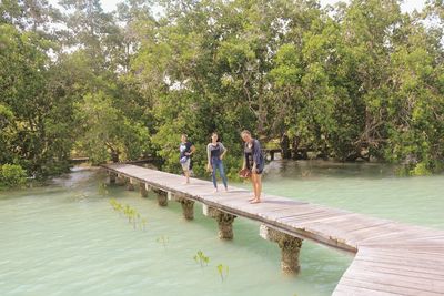 People standing on riverbank against trees