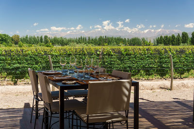 Place setting on table against plants