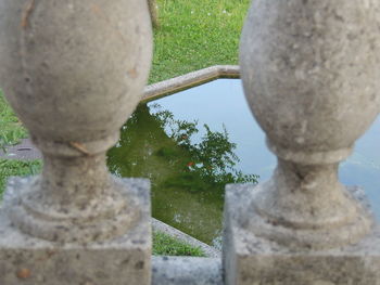 Close-up of tree in cemetery