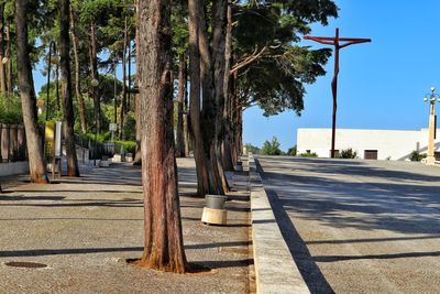 Road by trees in city against sky