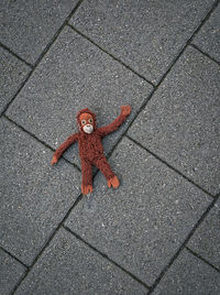 High angle view of red toy on floor