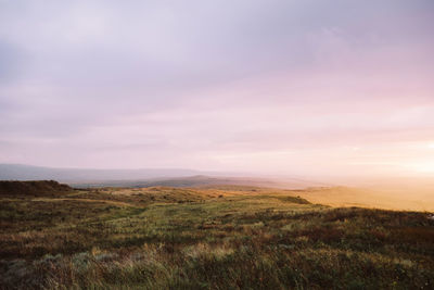 Scenic view of field against sky