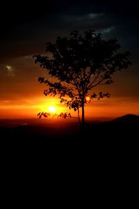 Silhouette tree against sky during sunset