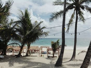 Palm trees on beach against sky