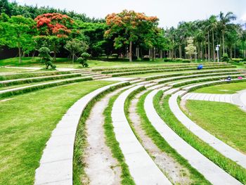 Footpath in park