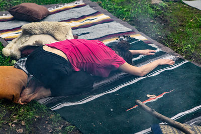 High angle view of dog lying down on land