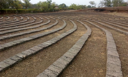 Scenic view of agricultural field