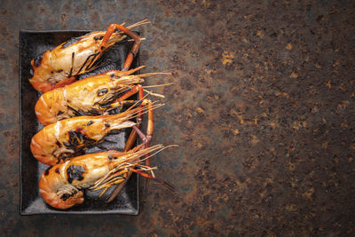 Grilled giant freshwater prawns in black rectangular ceramic plate on rusty background, river prawn