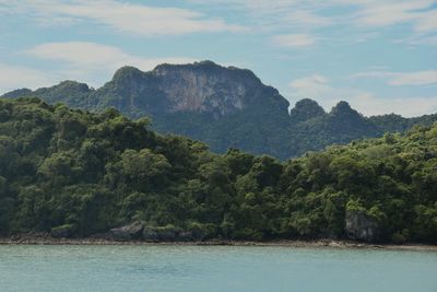 Scenic view of sea by trees against sky