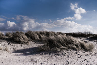 Scenic view of beach against sky