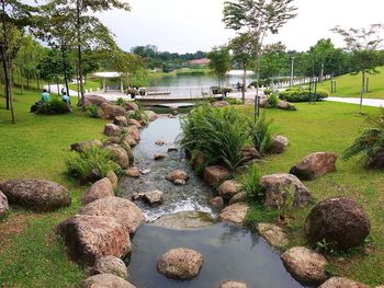 Pond in park