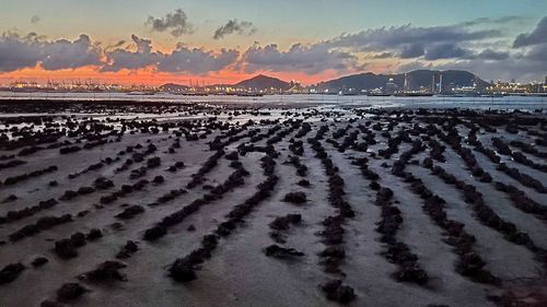 Scenic view of beach against sky during sunset