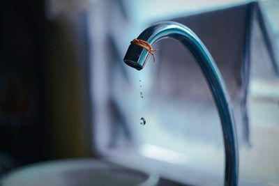 Water drops dripping from faucet