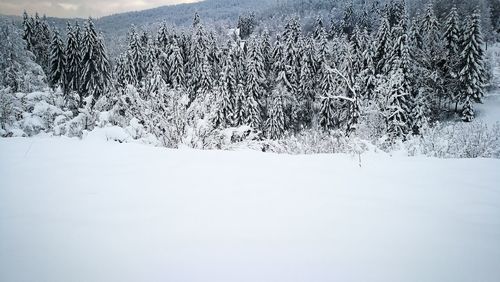 Scenic view of snow covered field