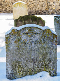 Close-up of snow covered stone