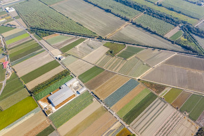 High angle view of agricultural field