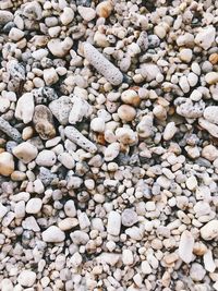 High angle view of stones
