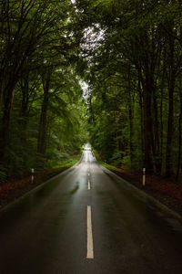 Road amidst trees in forest