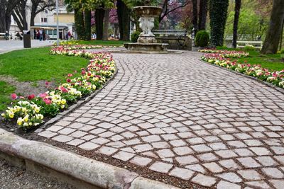 Footpath in park