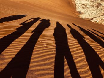 Shadow of people on sand