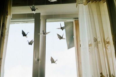 Low angle view of origami birds hanging in front of window at home