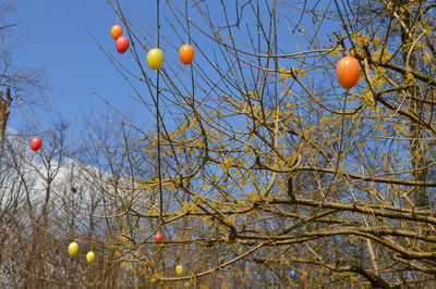 Low angle view of trees