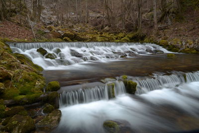 Stream flowing through rocks in forest